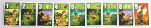 Alle neun Karten des Raptor-Spielers im Spiel Raptor aus dem Hause Pegasus