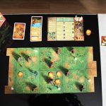 Zu sehen ist der Spielaufbau des Spiels Raptor von oben