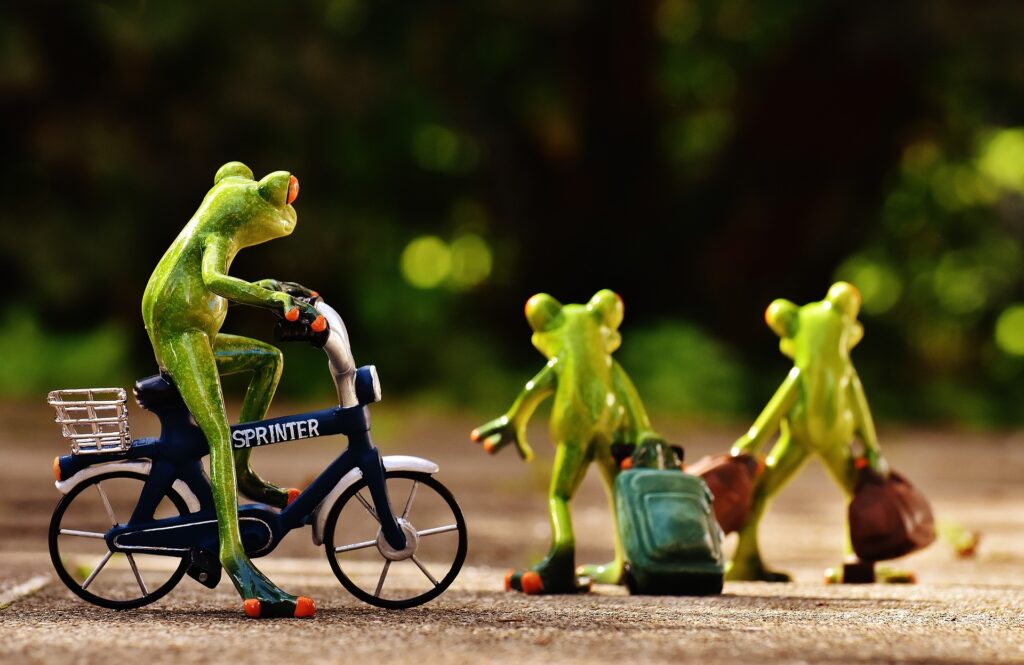 Ein Frosch auf einem Fahrrad schaut zwei Fröschen mit Koffern hinterher
