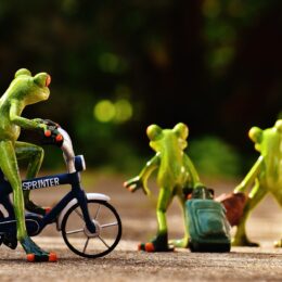 Ein Frosch auf einem Fahrrad schaut zwei Fröschen mit Koffern hinterher